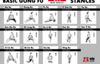 Basic Gong Fu Stances