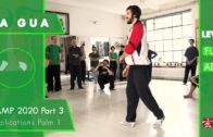 Applications Palm 1 – Ba Gua Camp 2020 Part 3