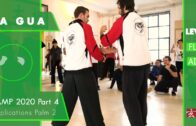 Applications Palm 2 – Ba Gua Camp 2020 Part 4