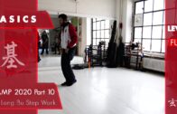 Qi Long Bu Step Work – Basic Camp 2020 Part 10