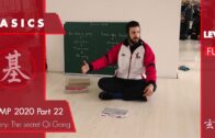 THEORY: The Secret Qi Gong – Basic Camp 2020 Part 22
