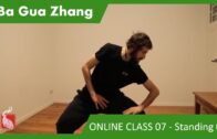 Ba Gua Standing 02 – ONLINE CLASS 07