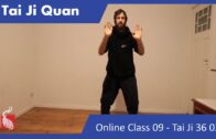 Tai Ji 36 Basics 02 – ONLINE CLASS 09