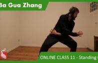 Ba Gua Standing 03 – ONLINE CLASS 11