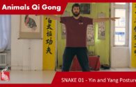 Snake 01 – Yin and Yang Posture – 5 ANIMALS QI GONG