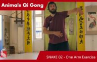 Snake 02 – One Arm Snake – 5 ANIMALS QI GONG