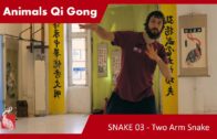 Snake 03 – Two Arm Snake – 5 ANIMALS QI GONG