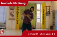 Snake 04 – Chest Layer Exercise 1-3 – 5 ANIMALS QI GONG