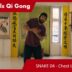 Snake 04 – Chest Layer Exercise 1-3 – 5 ANIMALS QI GONG