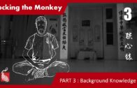 Theory: Locking The Monkey Part 3 – Background Knowledge II