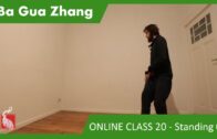 Ba Gua Basics 05 – Online Class 20