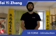Tai Yi 18 Form – Introduction