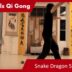 Snake Dragon Steps 01 – Online Class 26