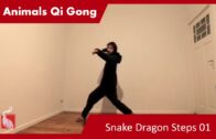 Snake Dragon Steps 02 – Online Class 28