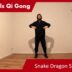 Snake Dragon Steps 03 – Online Class 30