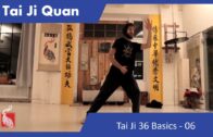 Tai Ji 36 Basics 06 – Online Class 27