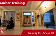 Teacher Training 05 – Snake 03