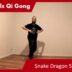 Snake Dragon Steps 04 – Online Class 31