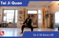 Tai Ji 36 Basics 08 – Online Class 38