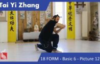 Tai Yi 18 Form – Basic 6 – Picture 12 to 13
