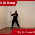 Xie Bu Snake 03 – Online Class 37
