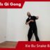 Xie Bu Snake Basic 01 – Online Class 33