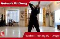 Teacher Training 07 – Dragon 02 (Only Teacher Training Students)