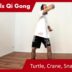 Turtle, Crane, Snake Repeat and Free Flow – Online Class 45