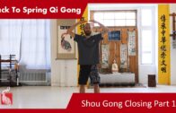 Shou Gong – Closing Qi Gong Part 1