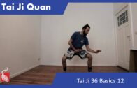 Tai Ji 36 Basics 12 – Online Class 52