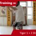 Teacher Training 08 – Tiger 1+2 (Teacher Training Students only)