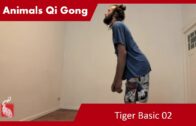 Tiger Basic 02 – Online Class 63