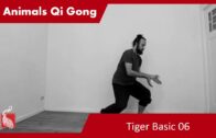 Tiger Basic 06 – Online Class 71