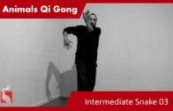 Intermediate Snake 03 – Dragon Step Variation – Online Class 88