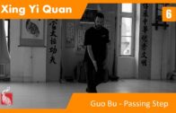 06. Guo Bu – Passing Through Step
