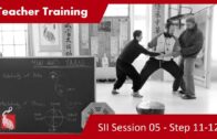 SEASON II – Teacher Training 05 – Specific Structure II and Step 11-12