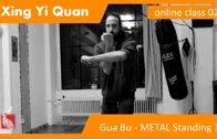 Xing Yi Online Class 02 – Passing Through Step and Standing Pi Quan