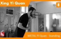 08. METAL Pi Quan – Standing Exercise 2