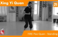 21.FIRE Pao Quan – Standing Exercise