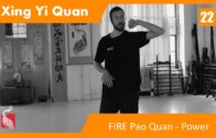 22.FIRE Pao Quan – Rear Arm and Power