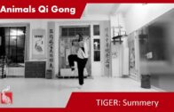 Animals Summery 05 – Tiger -Online Class 100