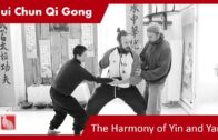 Relativity of Yin and Yang – Standing Qi Gong Principles