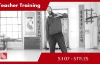 SEASON II – Teacher Training 07 – Styles