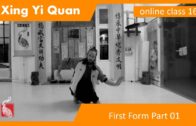 Lian Huan Quan Form 01 – Xing Yi Online Class 16