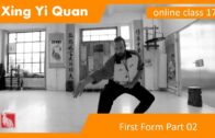 Lian Huan Quan Form 02 – Xing Yi Online Class 17