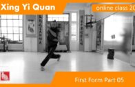 Lian Huan Quan Form 05 – Xing Yi Online Class 20