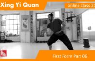 Lian Huan Quan Form 06 – Xing Yi Online Class 21