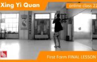 Lian Huan Quan Form 07 Final Class – Xing Yi Online Class 22