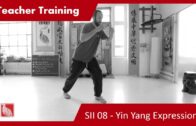 Teacher Training SII 08 – Yin Yang Expressions  and Step 15