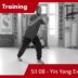 Teacher Training SII 08 – Yin Yang Expressions  and Step 15